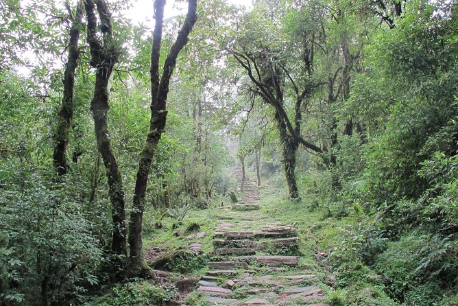 1-Day Private Dhampus Trekking Tour - Private guiding really changes the trek, from Roman to Siba