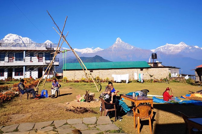 1-Day Private Dhampus Trekking Tour - Price and value: what $67 gets you in a one-day trek