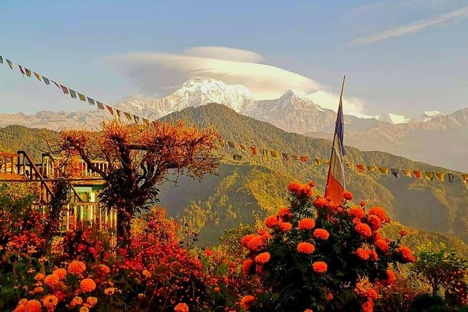 1-Day Private Dhampus Trekking Tour - How the day actually flows, from 8:30 am Pokhara to Dhampus