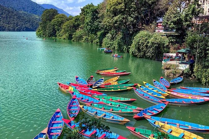 1 Hours Fewa Lake Rowing Trip From Pokhara - What Makes the 1-Hour Time Window a Value