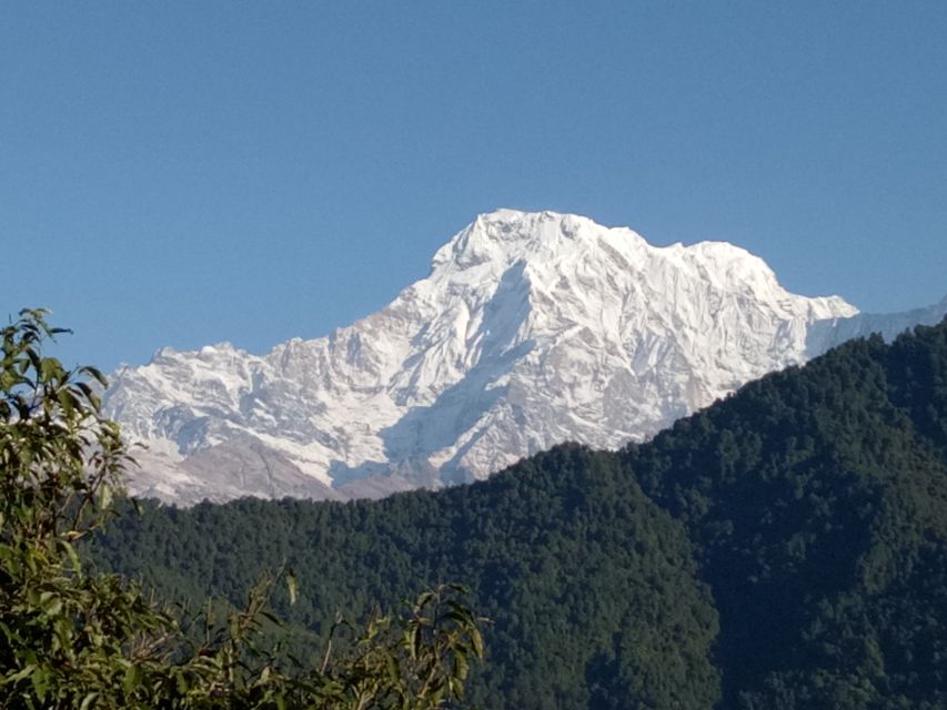 1 N 2 Days easy Dhampus,Australian camp trek from Pokhara - Price and value: is $86 fair for two days?