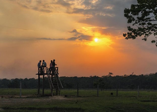 1 Night 2 Days Chitwan Jungle Safari Tour - Key things to know before you go
