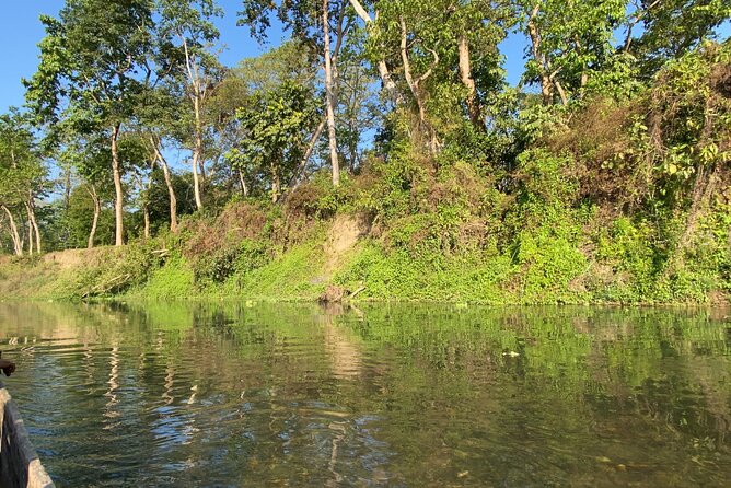 1 Night 2 Days Chitwan Jungle Safari Tour - Chitwan in two days: the big picture you’re really signing up for