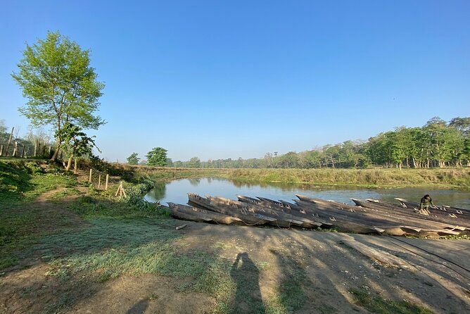 1 Night 2 Days Chitwan Jungle Safari Tour - Who this Chitwan safari is best for