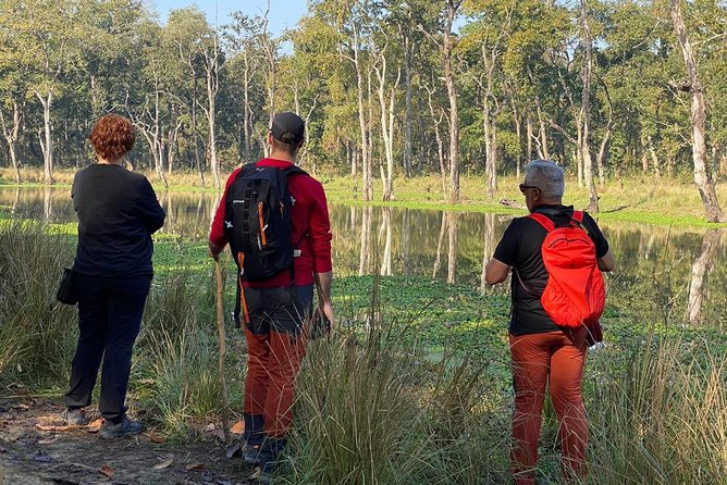 1 Night 2 Days Chitwan Jungle Safari Tour from Kathmandu - Day 2 jeep safari: morning wildlife time and realistic expectations