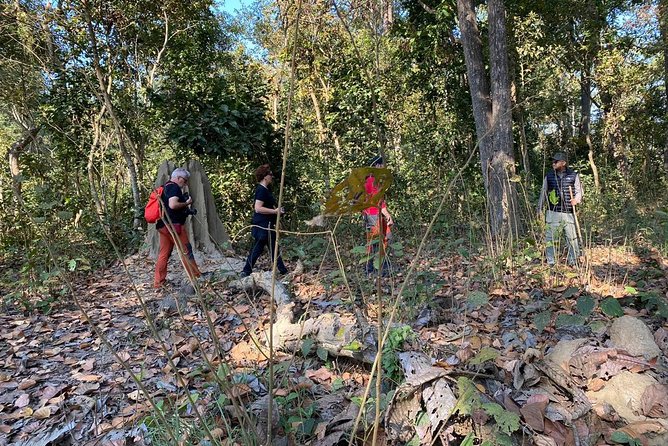 1 Night 2 Days Chitwan Jungle Safari Tour from Kathmandu - Meals and comfort: what’s included and how it feels in real time
