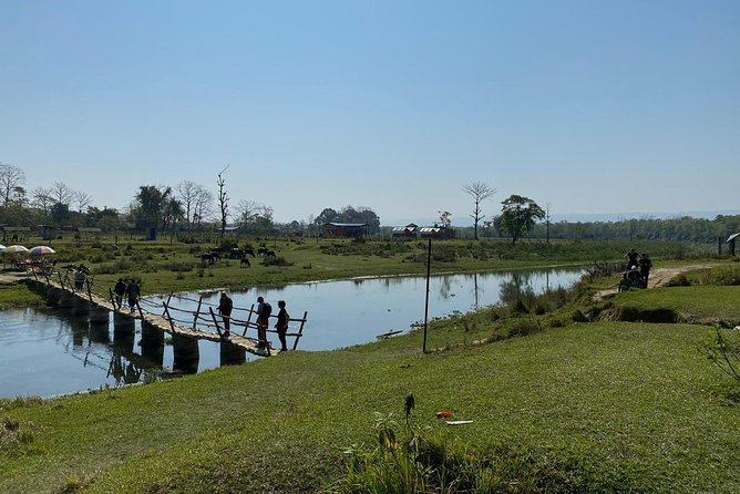 1 Night 2 Days Chitwan Jungle Safari Tour from Kathmandu - Small-group safari dynamics (max 20) and why it helps