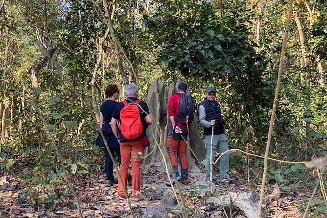 1 Night 2 Days Chitwan Jungle Safari Tour from Kathmandu - Practical tips to protect your safari time