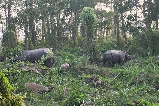 1 Night 2 Days Chitwan Jungle Safari Tour from Kathmandu - The Kathmandu to Chitwan timing game (6:30 am to the resort)