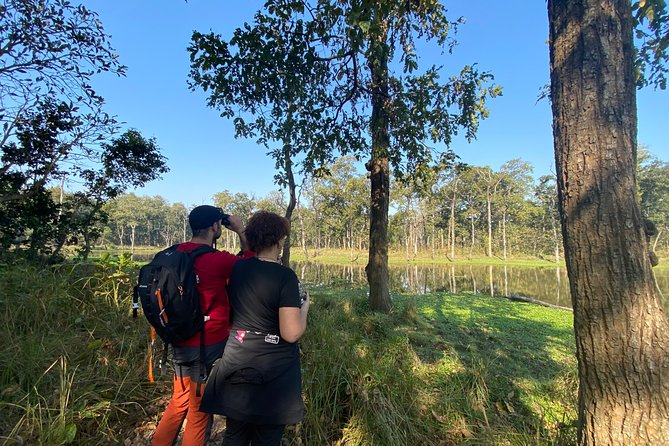 1 Night 2 Days Chitwan Jungle Safari Tour from Pokhara or Kathmandu - Price and value: does $140.80 make sense?