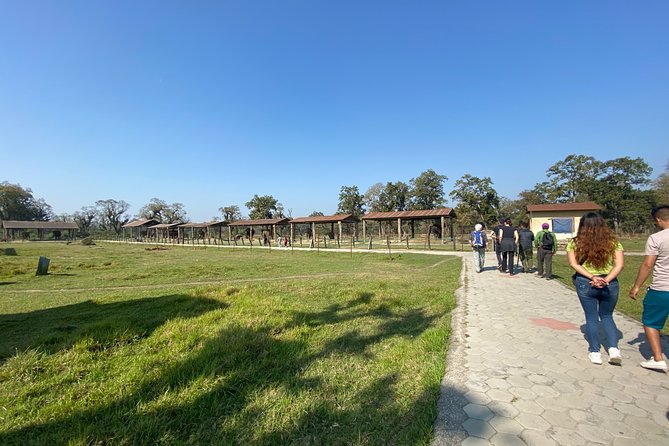 1 Night 2 Days Chitwan Jungle Safari Tour from Pokhara or Kathmandu - What to pack for a two-day Chitwan safari that moves fast
