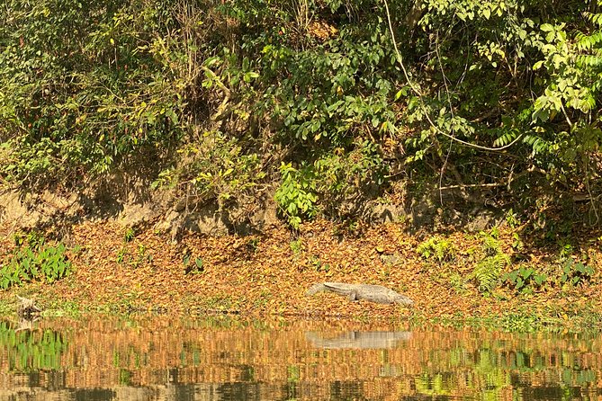 1 Night 2 Days Chitwan Jungle Safari Tour from Pokhara or Kathmandu - The 7:00 am start and the 10-hour bus reality