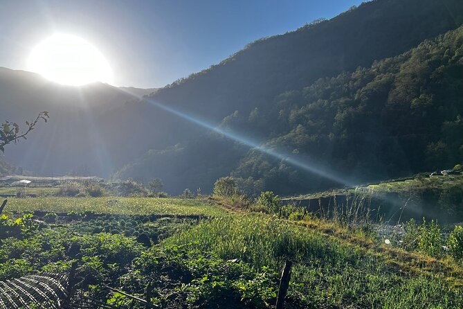 10 days Annapurna Base Camp Trek - Day 2 Kimche to Ghandruk: stone steps and a knee-friendly strategy