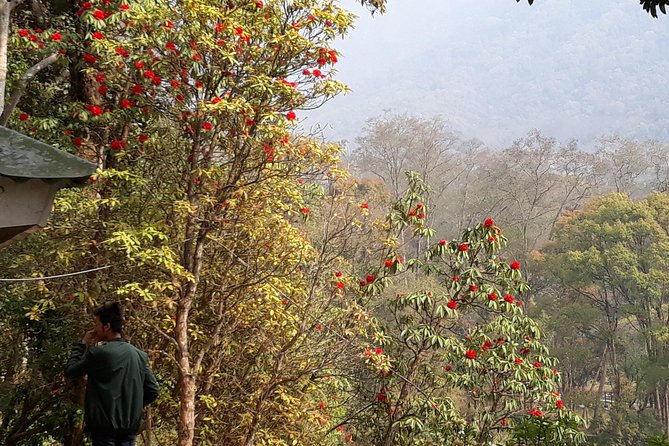 10 days Annapurna Base Camp Trek - Day 5 to Deurali: waterfalls, caves, and village-to-forest travel