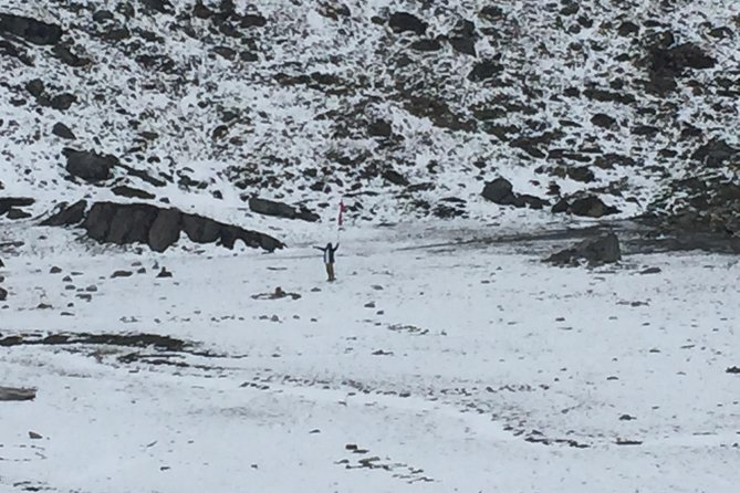 10 Days Annapurna Base Camp Trek From Pokhara - Price and Logistics: What You Get for $493.58
