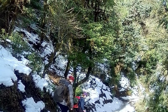 10 Days Nepal Trip - Heritage Kathmandu - Natural Pokhara and Poon Hill Trek - From Kathmandu Durbar Square to mountain tea houses: how this trip actually feels