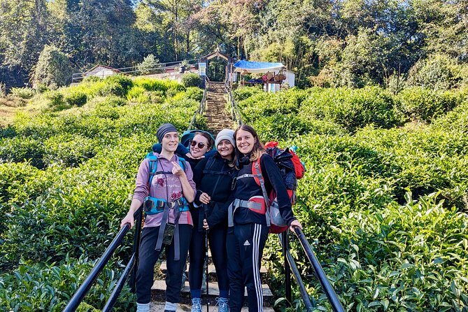 10 Days Private Guided Annapurna Basecamp Trek via Poon Hill - Chhomrong and Kimrong Khola: where the trail gets scenic and social
