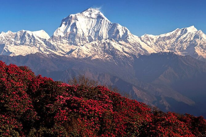 10 Days Private Guided Annapurna Basecamp Trek via Poon Hill - Pokhara to Ulleri: the first day stair workout you will not forget