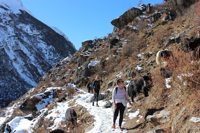 10-Days Private Langtang Valley Trek in Nepal - FAQ