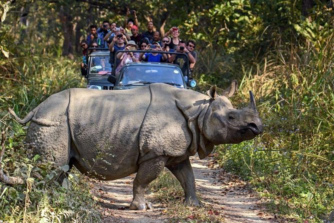 10 days Special Nepal Tour Package - Day 3 Bhaktapur then Nagarkot sunset: a viewpoint day that resets your brain