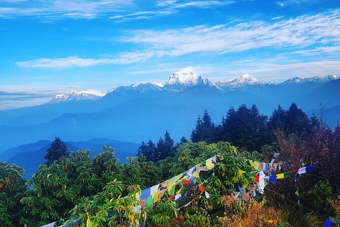 11-Day Hike Tour to Annapurna Base Camp Bliss in Kathmandu - Price and value: what $1,300 is buying you