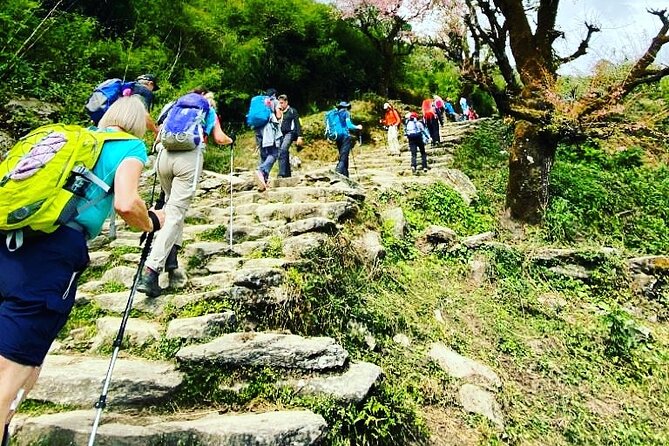 11-Day Hike Tour to Annapurna Base Camp Bliss in Kathmandu - Day by day: how the itinerary unfolds on your feet