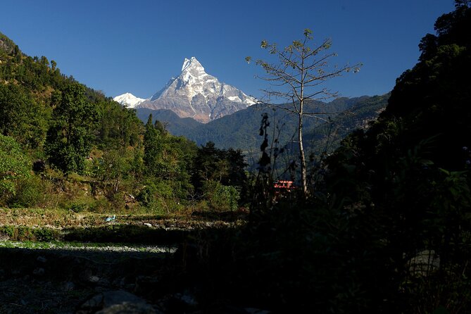 12-Day Nepal Adventure Trek with Jungle Safari - A 12-day Nepal circuit that pairs temples, Annapurna mornings, and Chitwan jungle time