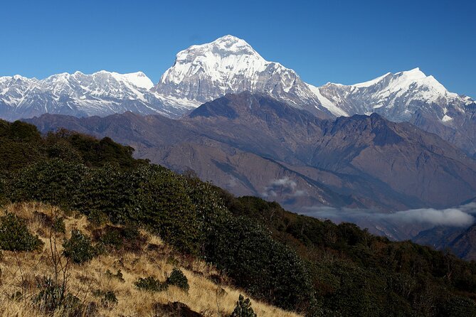 12-Day Nepal Adventure Trek with Jungle Safari - Poon Hill sunrise at 3232m: worth it, and yes, be ready for stairs
