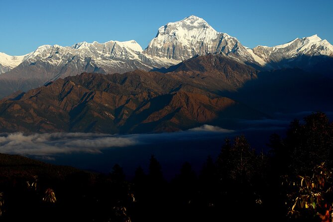 12-Day Nepal Adventure Trek with Jungle Safari - Guides, porters, and why names like Raj and Amrit matter