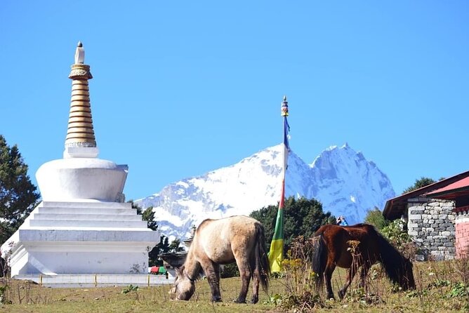 12 Day Private Mt. Everest View Luxury Trek - Tengboche: monasteries, rituals, and the view day you will remember