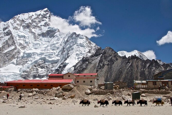 12 Days Everest Base Camp Trek - Toward Lobuche and Gorak Shep: the long day feeling
