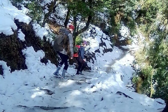 12 Days Everest Base Camp Trek from Kathmandu - Dingboche and the suspension-bridge day: village life at higher elevation