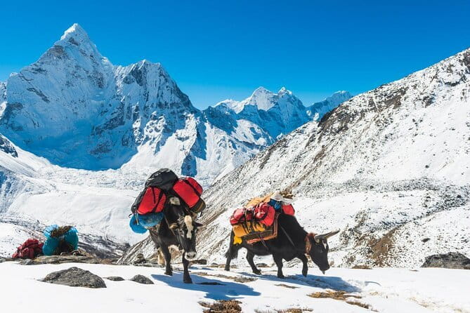 12 Days Everest Base Camp Trek from Kathmandu - Kala Patthar: the 360-degree viewpoint day