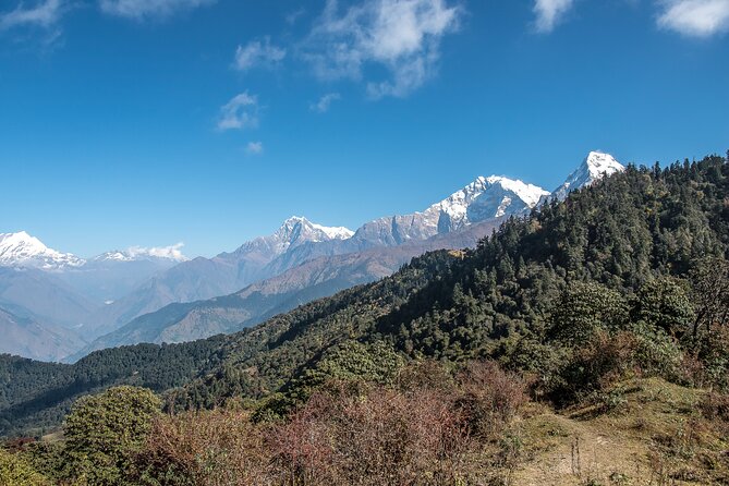 12 Days Trek Tour in Nepal - Day 8: to Gandruk for Annapurna South and Himchuli views