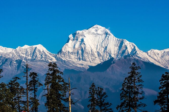 12 Days Trek Tour in Nepal - Day 9: finishing the trek with Fishtail close up, then drive to Pokhara