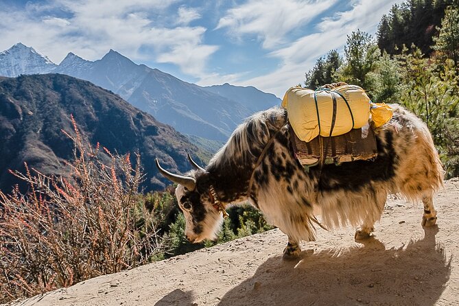 13-Day Private Trekking Experience in Everest Base Camp - Tengboche: a long ascent day with monastery energy