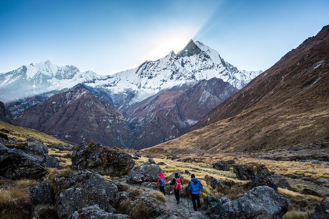 14 days Annapurna Base Camp Trek - Ghorepani forests and Poon Hill sunrise: the morning that sells the whole trek