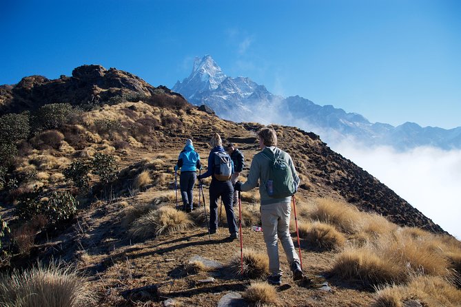 14 days Annapurna Base Camp Trek - Chhomrong to Bamboo Village: steps, rivers, and a bamboo-forest vibe