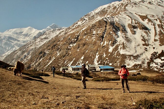 14 Days Annapurna Circuit Trek - Yak Kharka to Thorong Phedi: the high, rugged in-between days