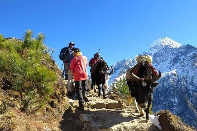 14 Days Everest Base Camp Trekking - Acclimatization day at Tshola Tsho and Nagarjun: a smart mix of work and wonder