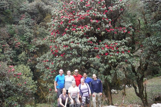 14 Days Luxury Annapurna Base Camp Trek - Machhapuchhare sunrise and the return loop through Dovan and Chhomrong