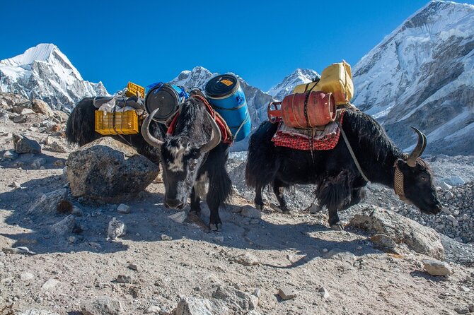 14 Days Private Tour Everest Base Camp Trek - Nangkartsang Peak from Dingboche: the acclimatization climb that helps