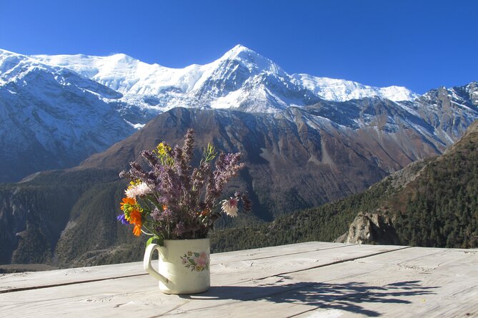 15-Day Private Annapurna Circuit Trek from Kathmandu - Getting ready for Thorong La: last camps, Phedi, and early starts