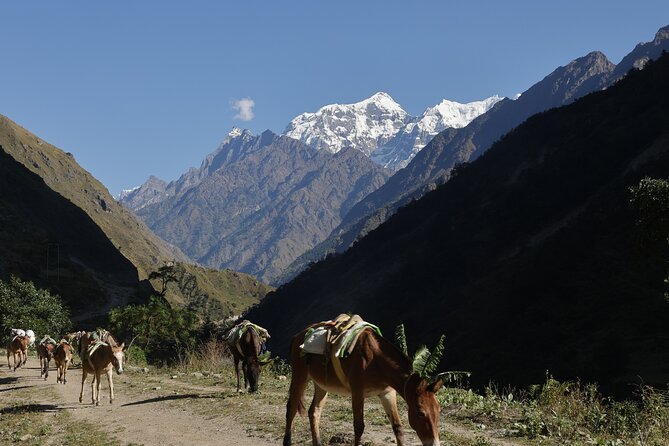 15 Days Manaslu Circuit Trek - Namrung and Shyala: fields, forests, and a strong Tibetan feel