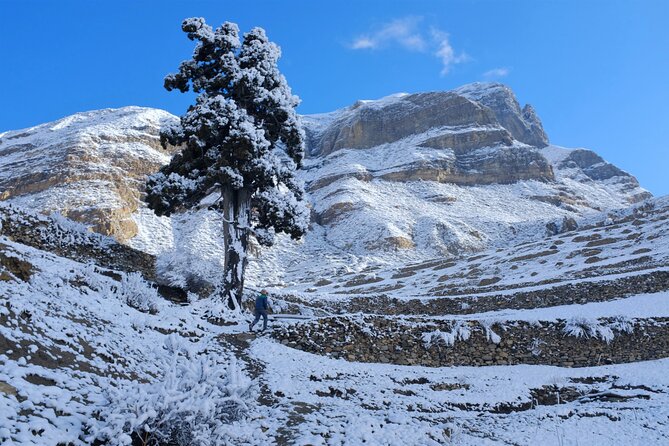 15 Days Round Annapurna Trek with Poon Hill from Pokhara - Key reasons this Annapurna Circuit with Poon Hill works