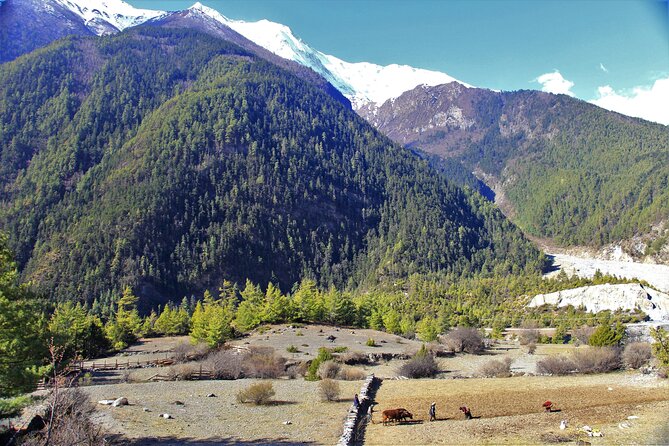 15 Days Round Annapurna Trek with Poon Hill from Pokhara - Syange and Dharapani: the start of the Annapurna rhythm