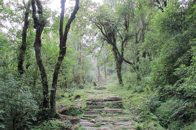 2-Day Private Trekking Tour to Australian Camp & Dhampus - What’s included, and what to plan for yourself
