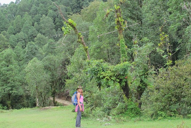 2-Day Private Trekking Tour to Australian Camp & Dhampus - Who should book this trek, and who should think twice