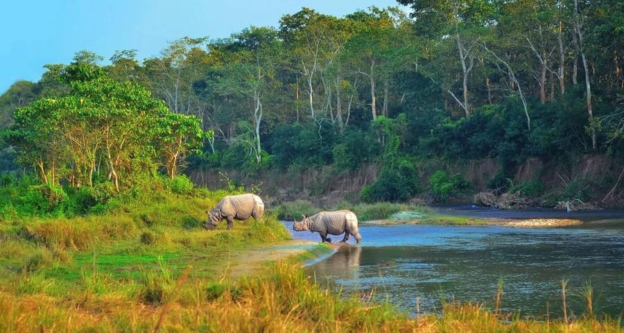 2 Days Chitwan Jungle Safari Tour from Pokhara/Kathmandu - A Fast Two-Day Route Into Chitwan From Pokhara or Kathmandu