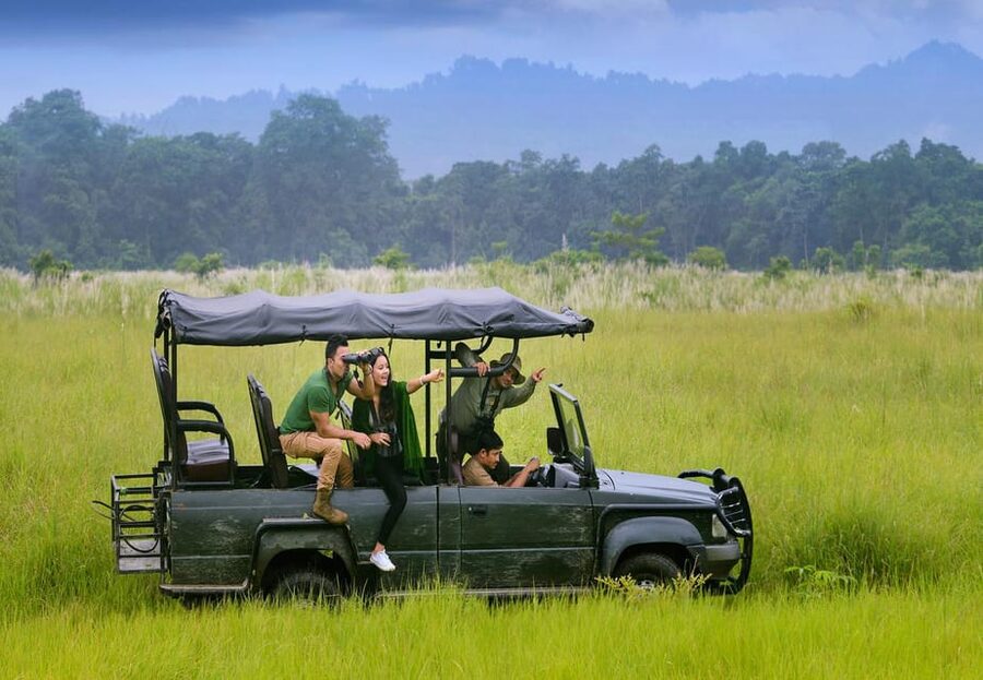 2 Days Chitwan Jungle Safari Tour from Pokhara/Kathmandu - Day 2 Early Jungle Walk, Breakfast, and the Return Drive